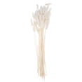 thumbnail image 3 of WORGEOUS 1 manojo / 60 piezas Decoración de boda Hierba seca Cola de conejo Heno Plantas naturales Flores secas para fotografía Arreglo floral (Blanco), 3 of 7