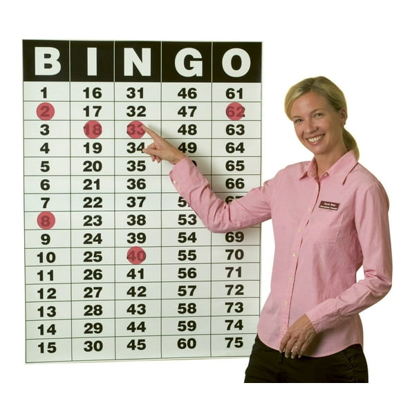 S&S Worldwide Giant Bingo Masterboard Poster (41"" H X 30.5"" W) And Static Cling Chips Set