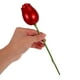 thumbnail image 5 of Caja de anillo con rosa roja, romántica caja de anillo de compromiso con flores para propuesta, ceremonia, aniversario de bodas, regalo de San Valentín, joyero para niñas, 5 of 7