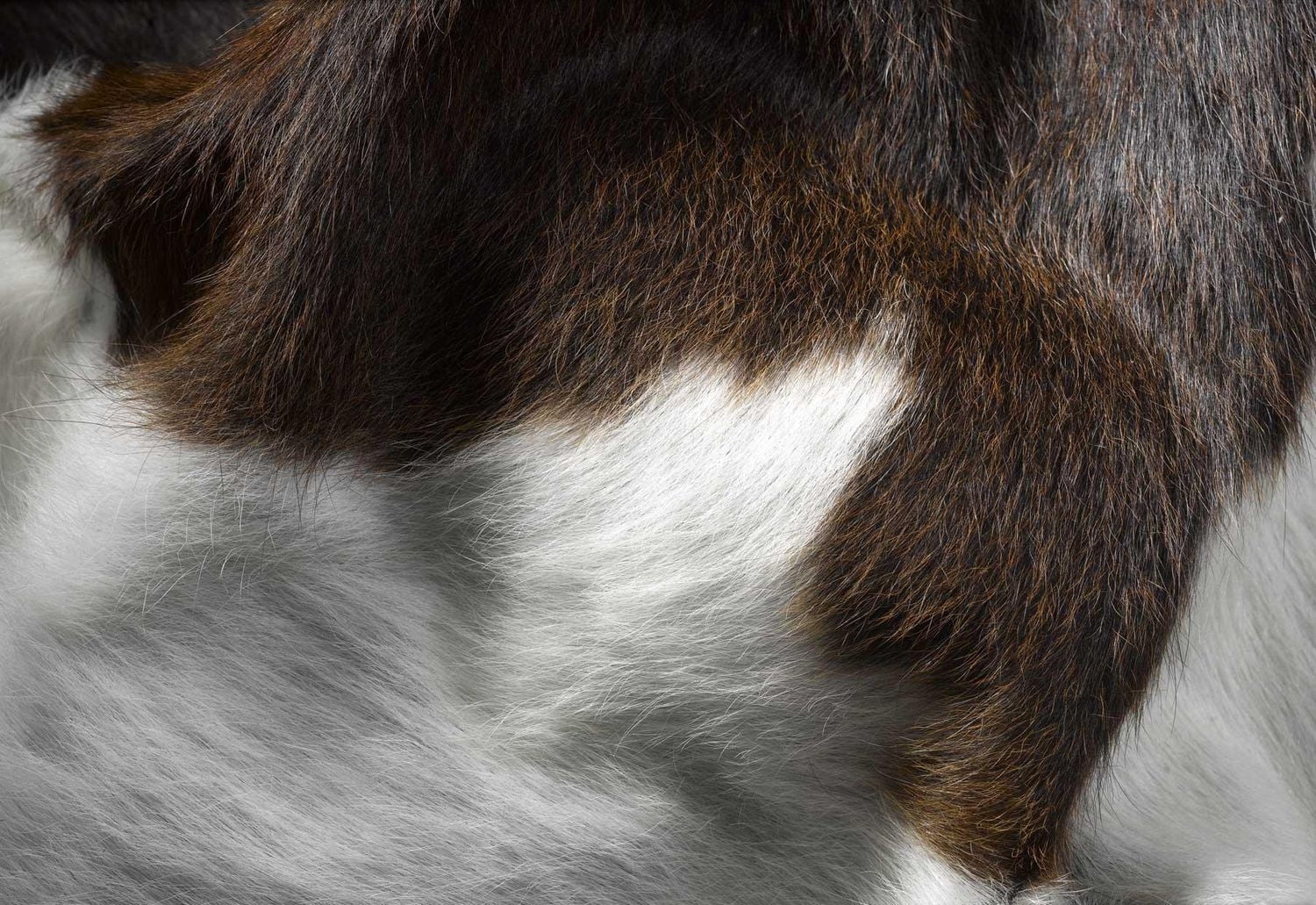 TAPIS KOBE EN PEAU DE VACHE 5' X 7'