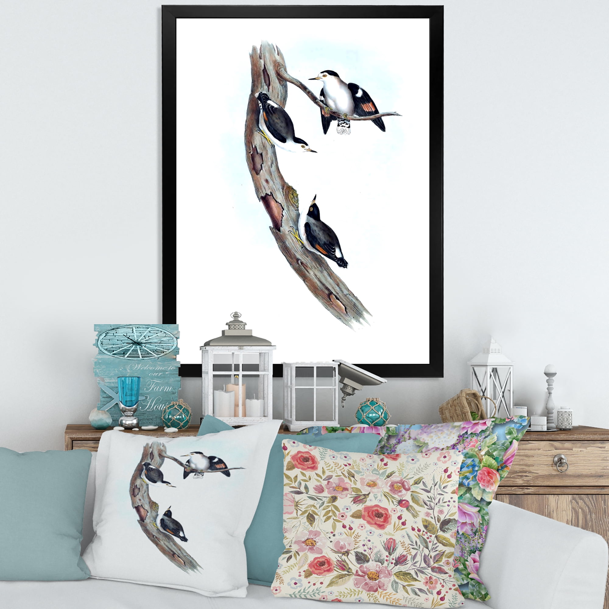 Designart 'Ancient Australian Bird Illustrations I' Traditional Framed Art Print
