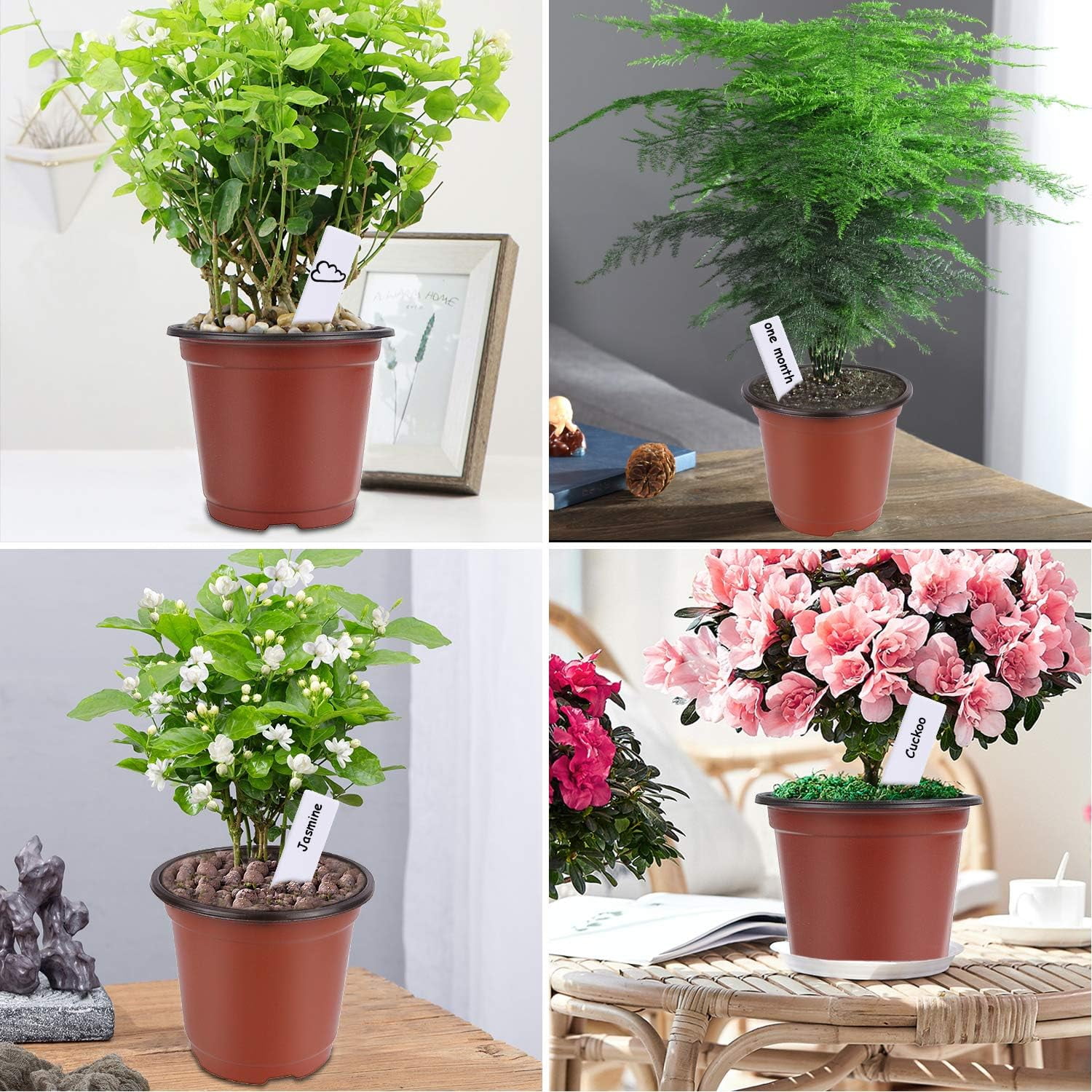 50 Pcs 5 inch Planter Nursery Pots, Planters for Indoor Plants，Plastic Pots for Flower Seedling (Red)