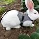 thumbnail image 4 of Fashinable cómodo conejo traje arnés correa lindo conejito chaleco arnés, 4 of 8