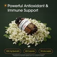 thumbnail image 4 of NatureBell Quercetin 500mg - 300 Capsules - Ultra Strength Supplement for Healthy Immune Support - Quercetin Dihydrate from Sophora Japonica - Bioavailable Form - 150 Servings, 4 of 8