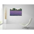 thumbnail image 5 of Epic Art 'Lavender Field I' by Tim O'Toole, Acrylic Glass Wall Art, 36"x24", 5 of 5