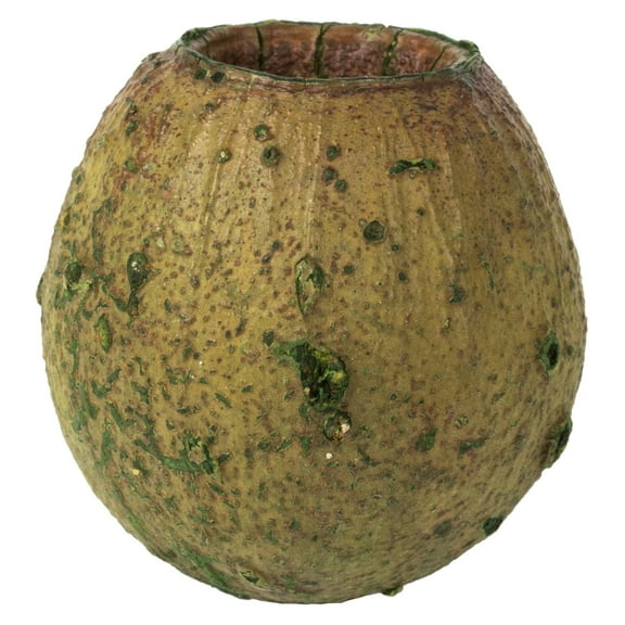 Vickerman 1" Basil Bell Gum Pods, bagged, 2.2 lb bag, Dried