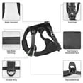 thumbnail image 5 of ZNDUO Cute Teddy Bear Seamless Pattern Dog Harness, Adjustable Reflective Pet Harness with Dog Leash, 5 of 8
