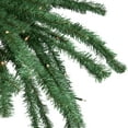 thumbnail image 5 of Northlight 6' Pre-Lit Artificial Tropical Outdoor Patio Palm Tree - Clear Lights, 5 of 6