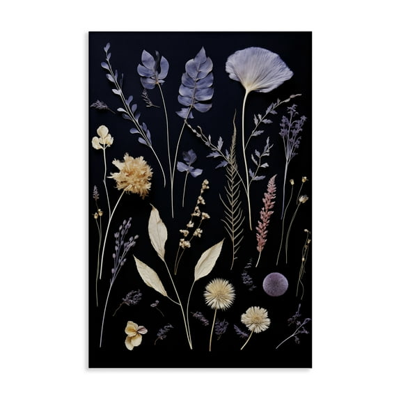 Stupell Industries Various Sprigs on Black Floral Painting Wrapped Canvas Canvas Art Print Wall Art, 16 x 24