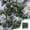 *New--Green, variant on Christmas Decorations 24 Piece Flocked Christmas Balls Christmas Decoration SetMultiple Styles Of Christmas Tree Decorations Can Also Be Used for Other Party for Holiday Gifts