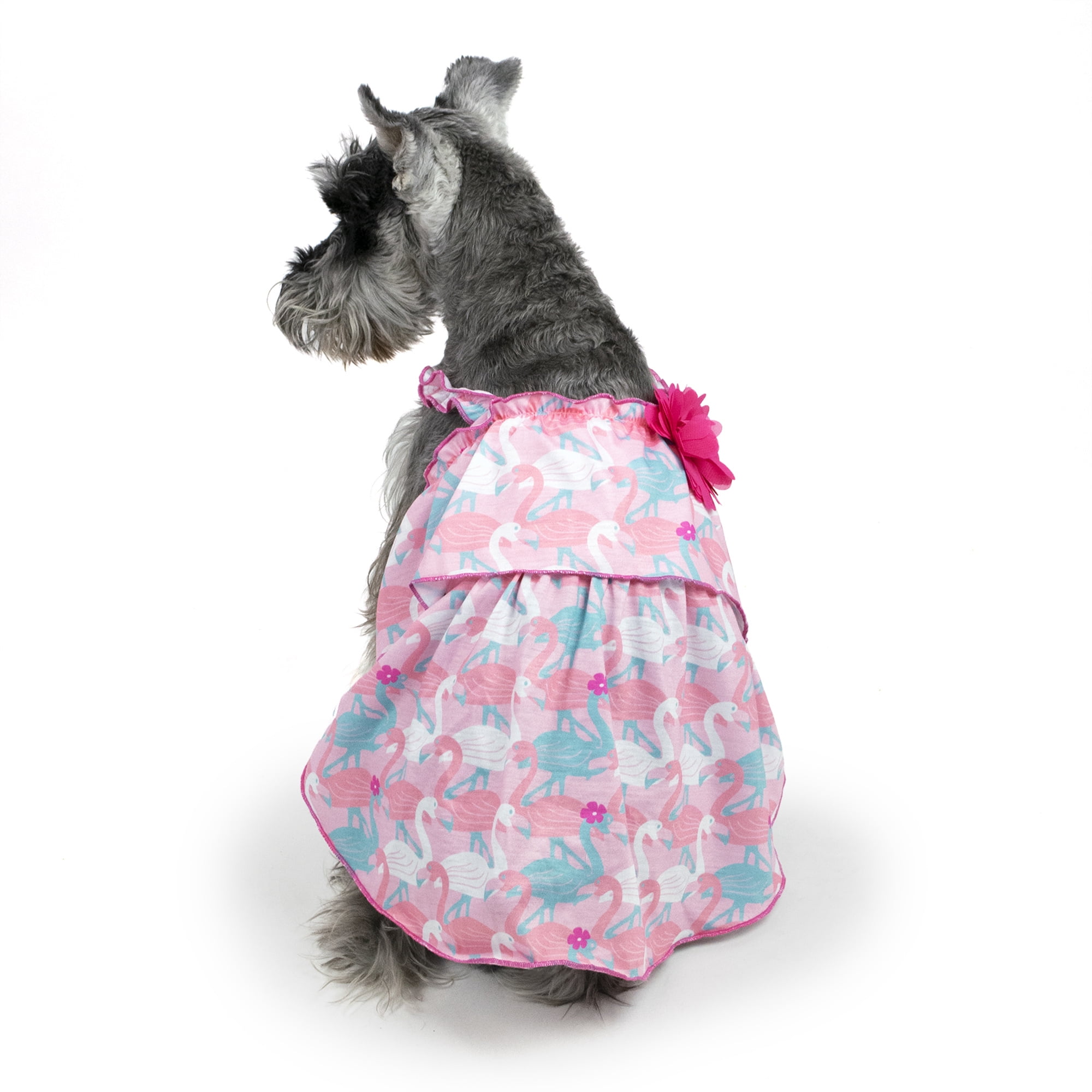 Vibrant Life Dog Dress, Flamingo, X 