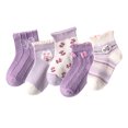 thumbnail image 1 of Calcetines de malla para niñas, calcetines de vestir suaves de algodón de princesa, calcetines finos de primavera y verano para niños Adepaton BST3005321-3, 1 of 6