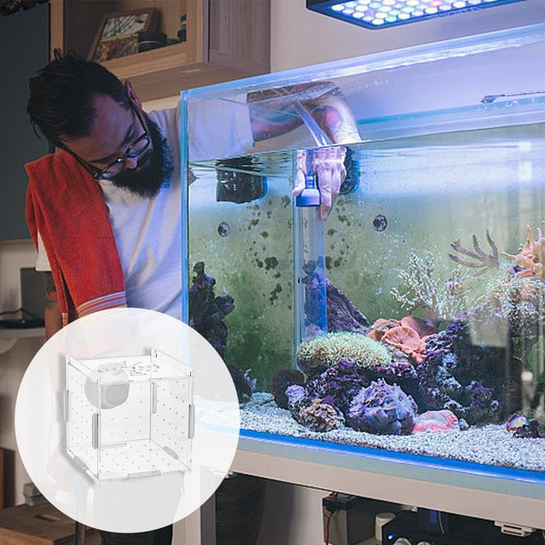 Fish Breeding Box Aquarium Breeding Isolation Box Acrylic Transparent Fish Tank Acclimation Separator for Aquarium Fish Spawning Hatching Maternity ... Fish Breeding Box Aquarium Breeding Isolation Box Acrylic Transparent Fish Tank Acclimation Separator for Aquarium Fish Spawning Hatching Maternity ...