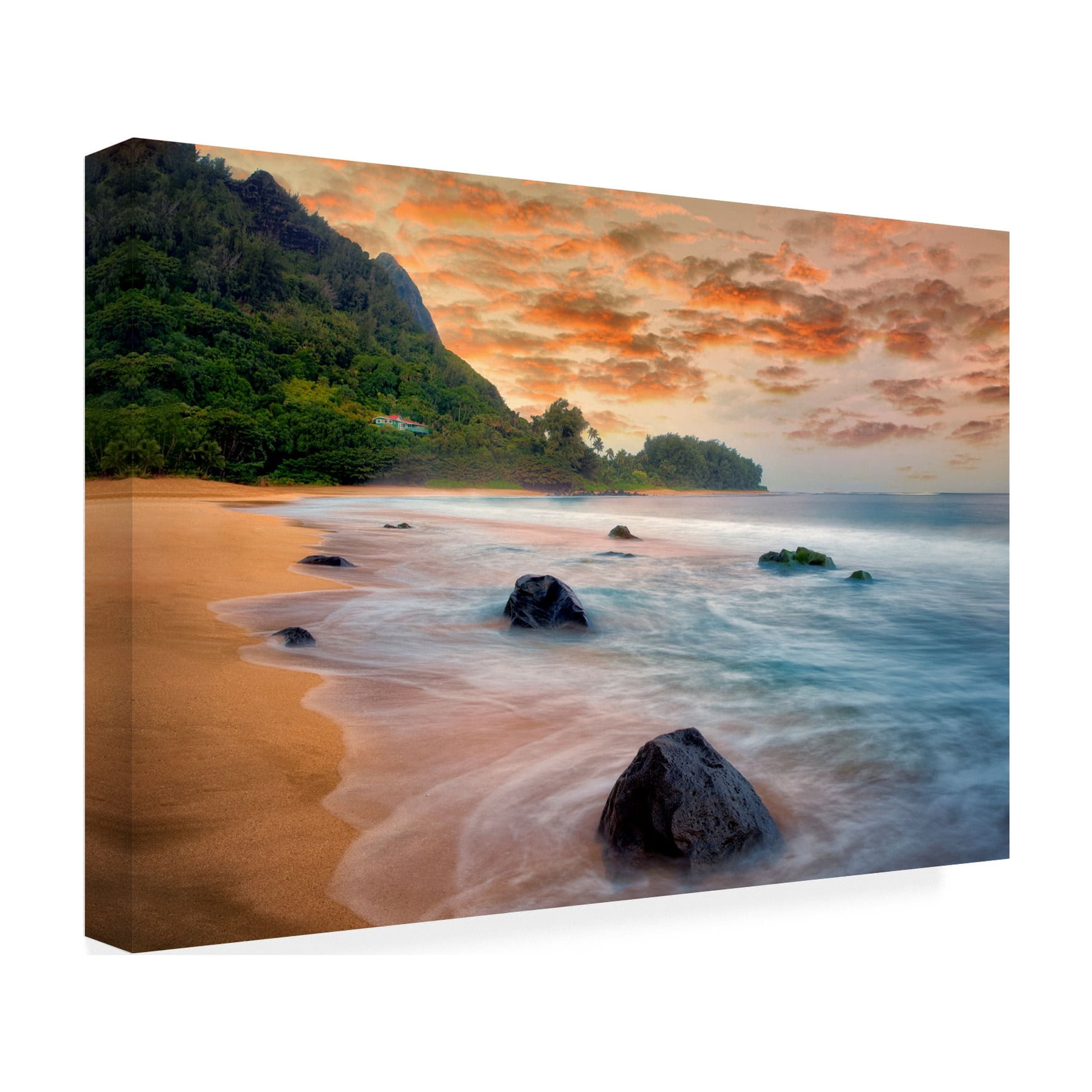 Dennis Frates 'Tunnels Beach' Canvas Art