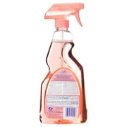 All Purpose Disinfectant Cleaner Pomegranate and Mango, 0.767-Kilogram By Old Dutch