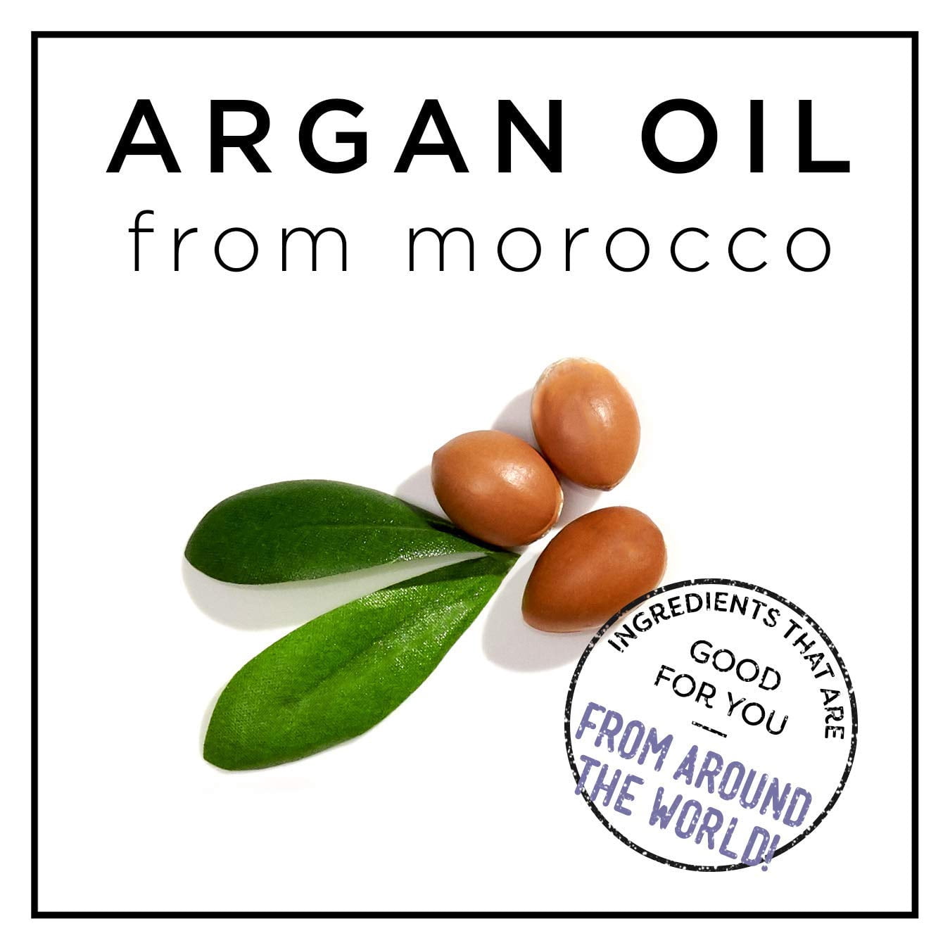 Hask Argan Oil Strengthens & Repairs Shampoo Paraben Free, 12 oz, 6 Pack