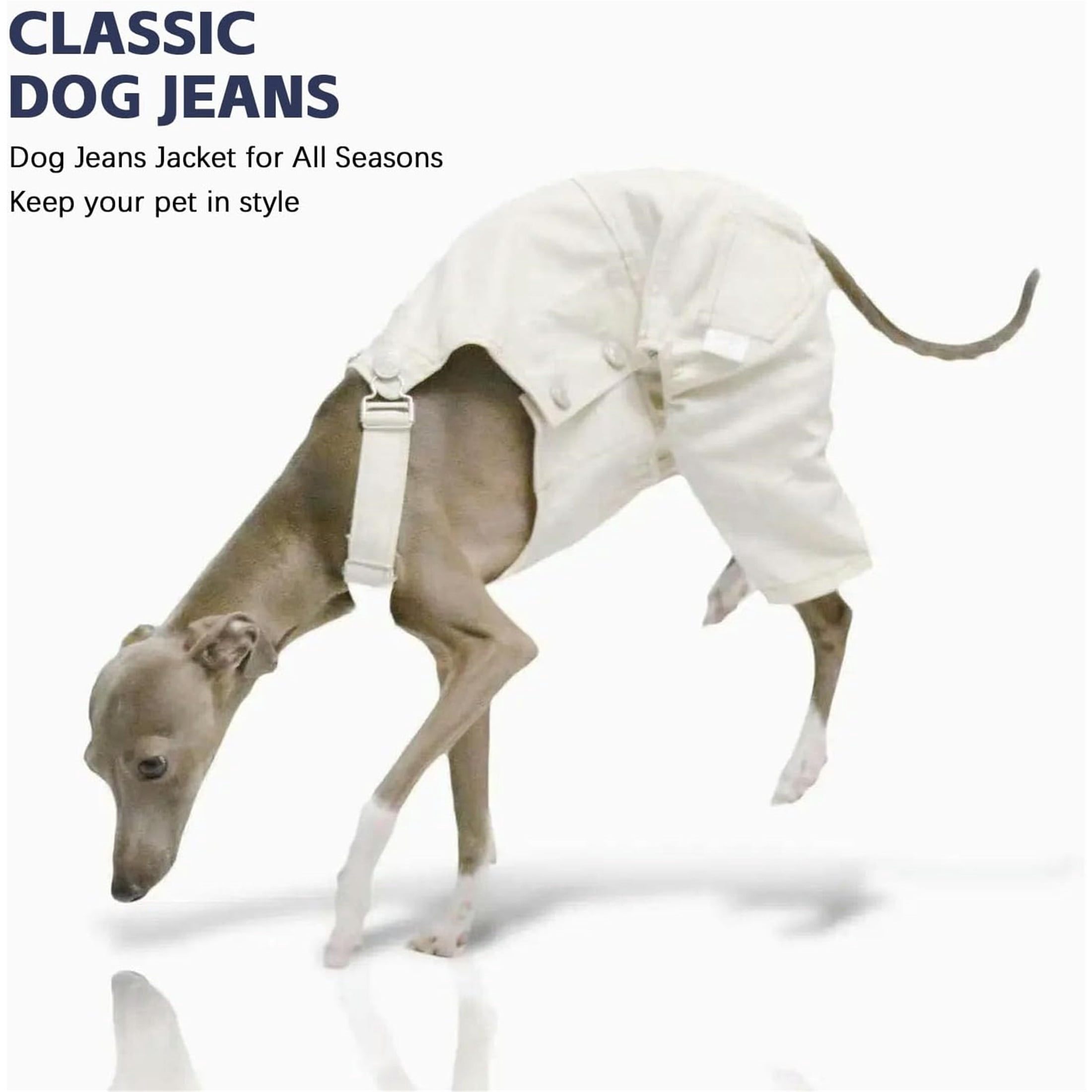 UOSIA Italian Greyhound Clothes Dog Denim Overalls Fashionable Puppy Jean Jacket