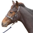 thumbnail image 2 of Hy Leather Foal Halter, 2 of 3