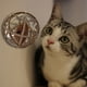 thumbnail image 4 of Juguetes Interactivos para gatos ANGGREK Bola de ratón Plástico Rompecabezas, 4 of 7