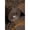 Chocolate/Bronze, variant on Eternal Gray Wallpaper