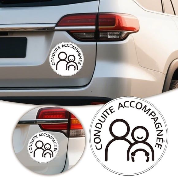 Universal Car Decal Sticker Vehicles Easy to Install Removable Auto Emblem Vinyl Graphic Art Decoration