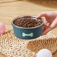 thumbnail image 2 of Dog Bowls Cat Bowls Pet Bowls Slow Feeder Anti Choke Spill Proof Non Slip Plastic Dog Food Bowl Cat Food Bowl for Small Large Dogs Cats Indoor by PALIFEUR, 2 of 7