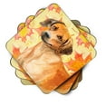 thumbnail image 2 of Rhodesian Ridgeback Fall Foam Coaster Set of 4 Yellow, 2 of 3