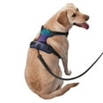thumbnail image 2 of Fotbe Night At Lake Aurora Pattern Dog Harness, No-Pull Pet Harness with 2 Leash Clips, Adjustable Soft Padded Dog Vest with Easy Control Handle for Large Dogs-Large, 2 of 6