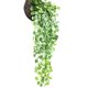 thumbnail image 5 of Gwong Decoración hogareña 2 unids paño artificial verde vid planta pedante boda casa jardín decoración Gwong 21051550, 5 of 7