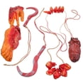 thumbnail image 1 of 1 Set Roto Cuerpo Partes Halloween Decoraciones Halloween Halloween Roto, 1 of 6