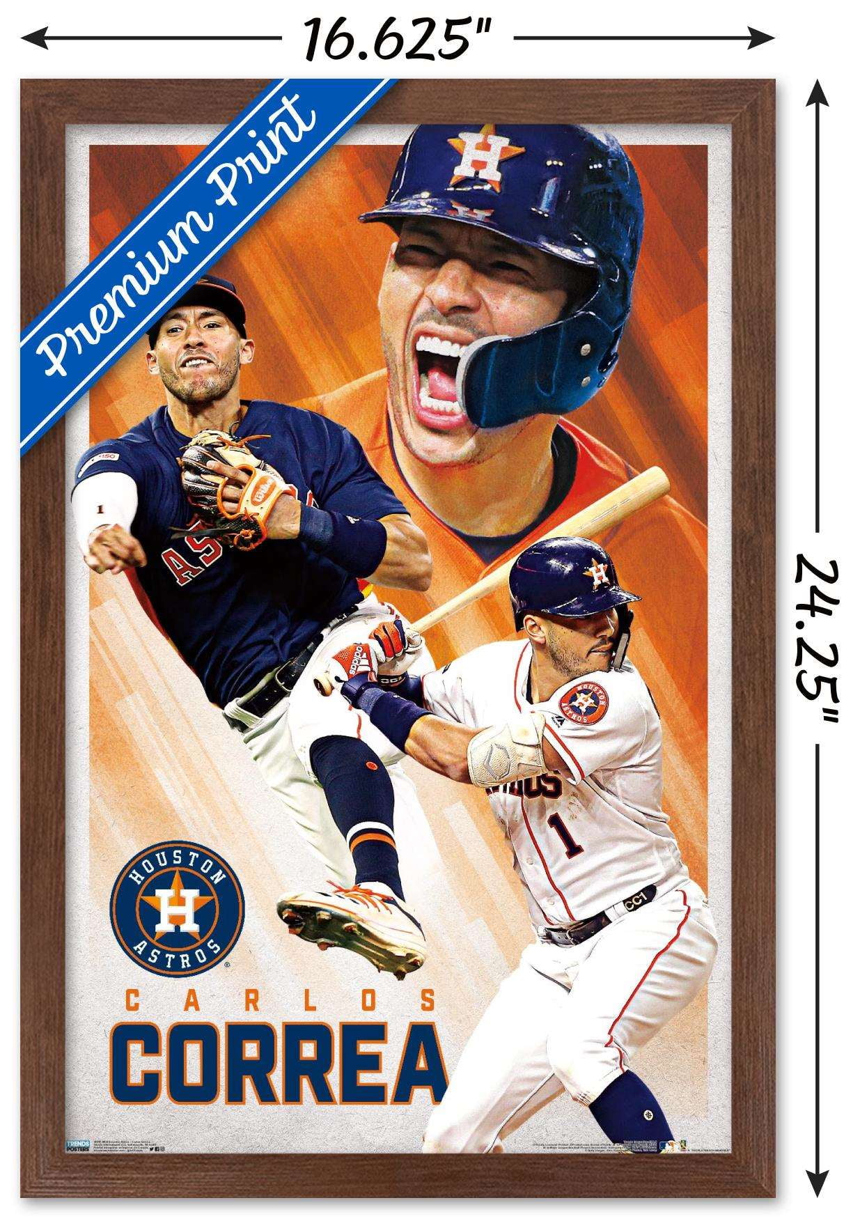 MLB Houston Astros - Minute Maid Park 22 Wall Poster, 14.725 x