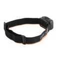 thumbnail image 2 of Dare 2B Mountain Head Torch, 2 of 4