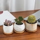 thumbnail image 2 of Toystoory Maceta para flores suculentas, bandeja de goteo, platillo de madera, Base para maceta, para balcón, jardinería, plantación, Teteras, 2 of 6