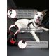 thumbnail image 3 of 1pc black Retractable Pet Car Seat Belt, 3 of 5