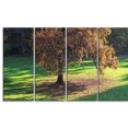 thumbnail image 2 of Lonely Beautiful Autumn Tree, 2 of 3