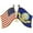 USA/USN, variant on US TOPGUN - United States TOP GUN Navy Squadron, Military Navy Fighter Weapons School, w/ Jet SML - Lapel PIN - 1.125"