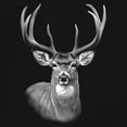 thumbnail image 3 of Deer Portrait Women's Long Sleeve T-shirt Monochrome Buck Head Nature Whitetail Wildlife Antlers Forest Rustic Hunt Trophy, 3 of 7