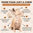 thumbnail image 5 of Scoochie Pet Chewka Chicken Flavored Plant-Forward Fully Digestible Dog Chew Bone, Medium, 6CT, 5 of 6