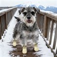 thumbnail image 4 of Hearth & Gear That Have All Weather Protective Boots And Sliding Soles For Outdoor Walking Hiking And Running, 4 of 6