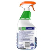 Shout Advanced Acting Gel, Laundry Stain Remover, 22 FL. OZ.