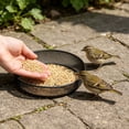 thumbnail image 5 of Naturace Bird Feeder Metal Mesh Outdoor Hanging Wild Birds Feeder For Garden Balcony Patio Birds Observation, 5 of 10