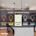 thumbnail image 3 of Bulbrite 862769 5W Dimmable T9 Shape 3000K Filament Basics LED Bulb, Clear - Pack of 8, 3 of 3