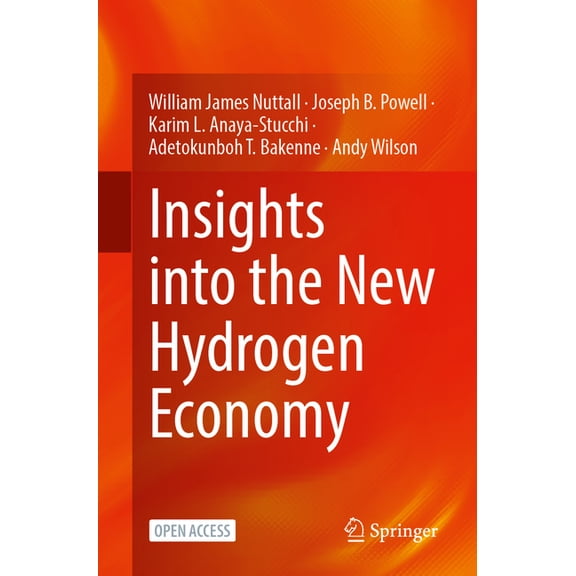 Insights Into the New Hydrogen Economy, (Paperback)