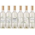 thumbnail image 5 of Printed Party Engagement Celebration Gift, Bachelorette, 6 Wine Bottle Labels, 5 of 5