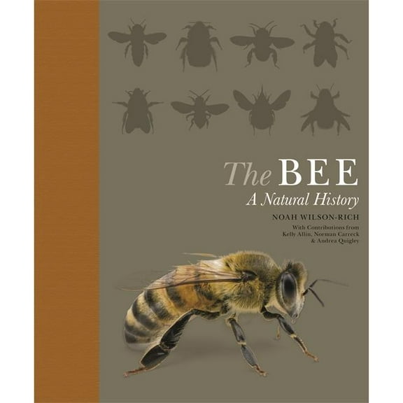 The Bee: A Natural History, (Paperback)
