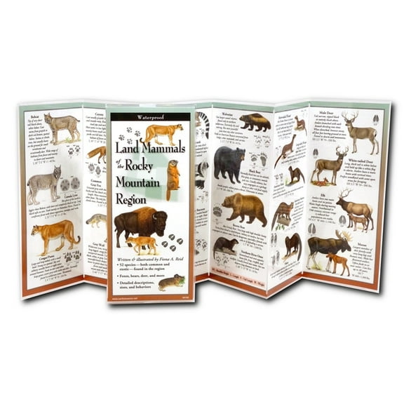 FoldingGuides: Land Mammals of the Rocky Mountain Region (Other)