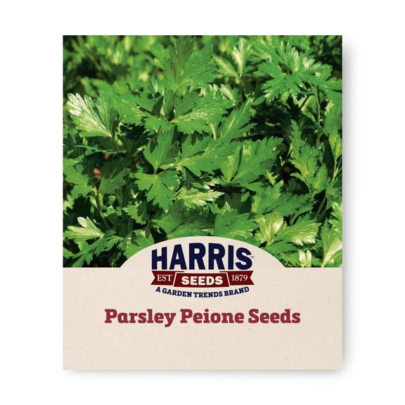 Harris Seeds Peione Parsley, Dark Green Flat Leaf Herb for Fresh Harvests, 50 Count
