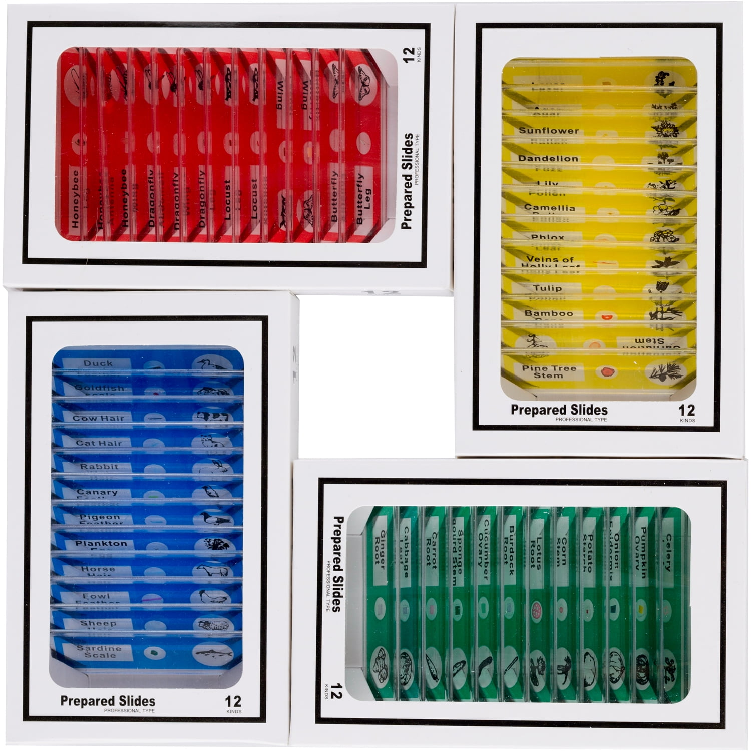 Amscope 48pc Kids Plastic Prepared Microscope Slides Of Animals Insects Plants Flowers Sample Specimens New Walmart Com Walmart Com