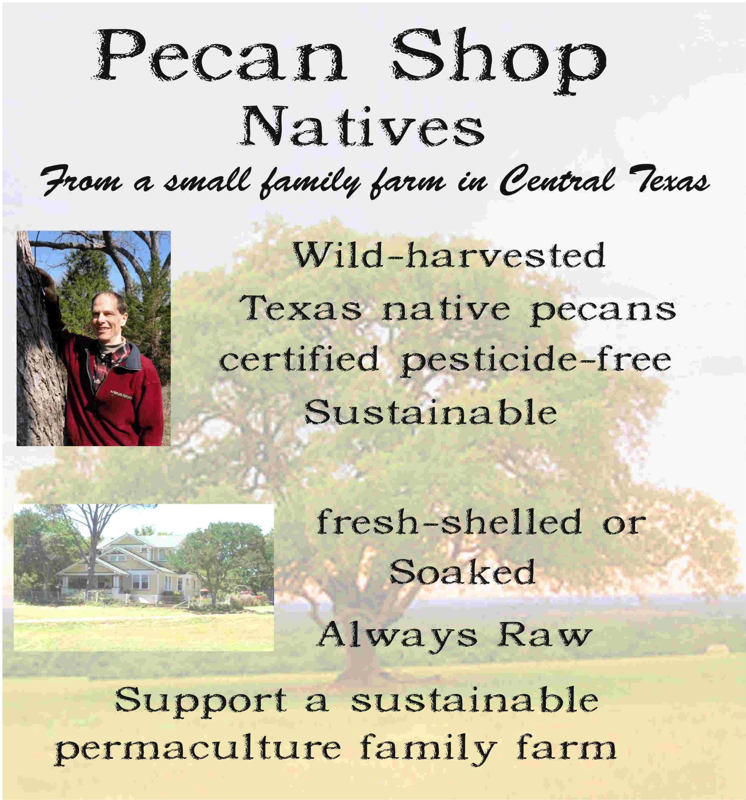 Just harvested Unsprayed Raw Wild-Harvested 2 lb Certified Pesticide-Free Fresh Texas Native Pecan Halves-Fresh Direct Ship