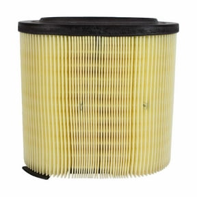 Motorcraft Air Filter FA1883, High-Density Media for Contaminant ...